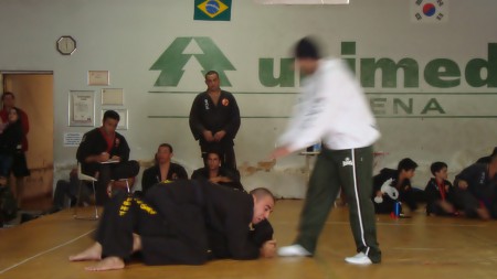 Leões Fight